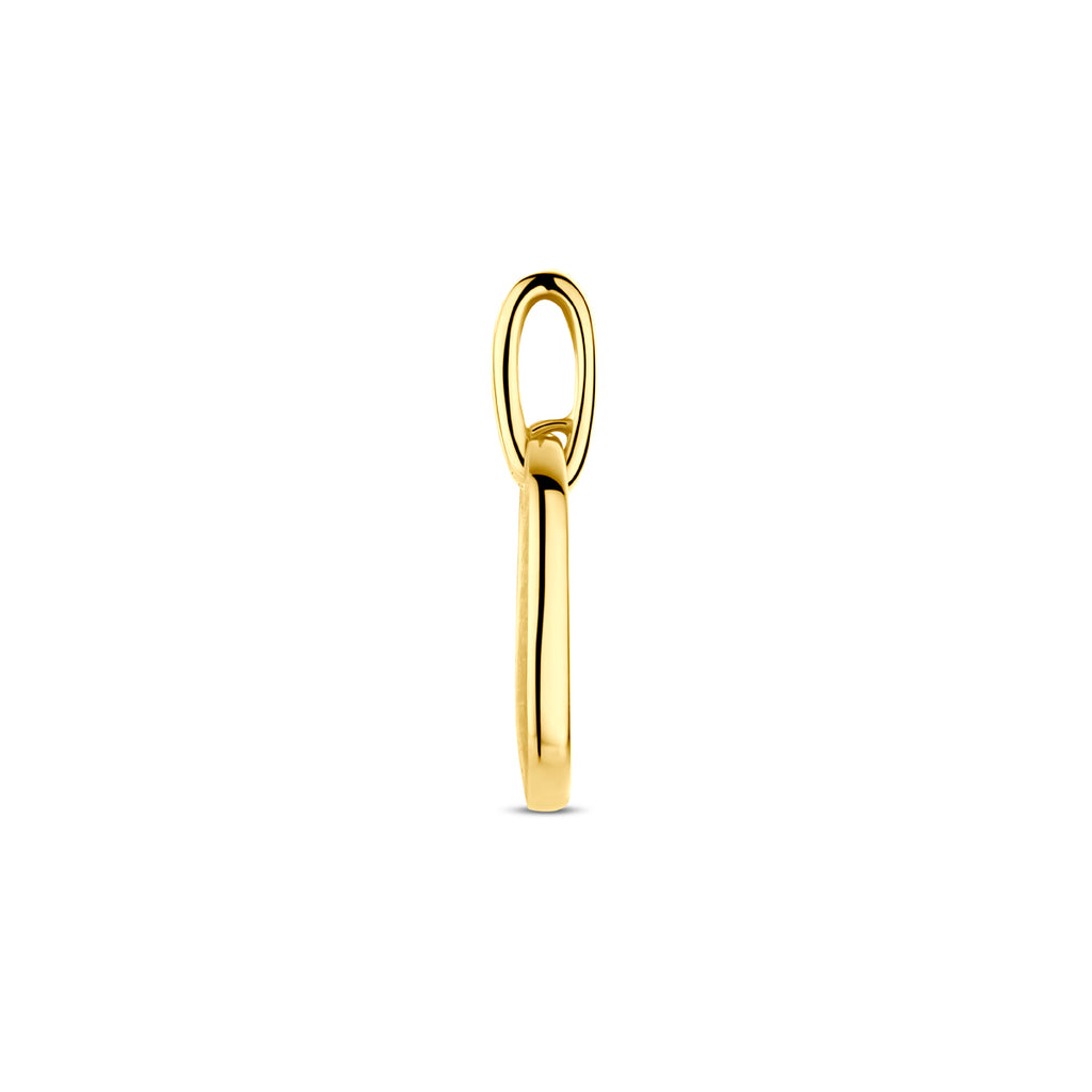 Hanger 0.03 ct diamant H SI poli/mat in goud – 20 mm