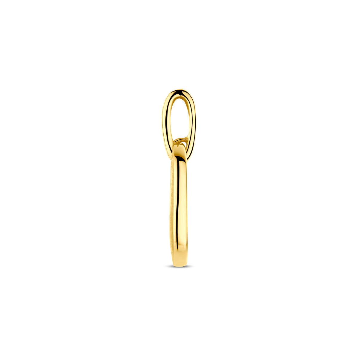 Hanger 0.03 ct diamant H SI poli/mat in goud – 20 mm